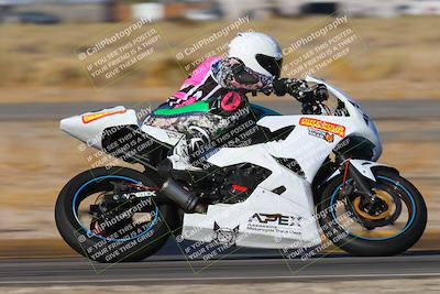 media/Nov-15-2024-CVMA Friday Practice (Fri) [[b142d29251]]/4-Group 4 and Trackday/Session 1 (Turn 14 Speed Pans)/